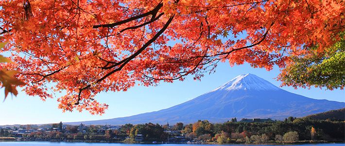 红叶 日本旅游  